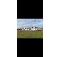 2 Zimmer-Wohnung mit 54,25 qm in Bad Waldsee (Haisterkirch)