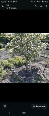 Foto - Kleingarten - 1.000,00&nbsp;EUR Kaltmiete, ca.&nbsp; 0,00&nbsp;m&sup2;