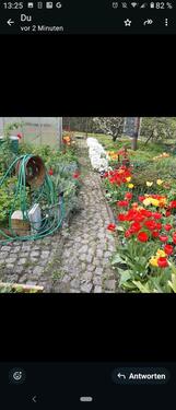 Foto - Grundst&uuml;ck in Frankfurt (Oder)