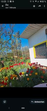 Foto - Grundst&uuml;ck in Frankfurt (Oder) zur Miete