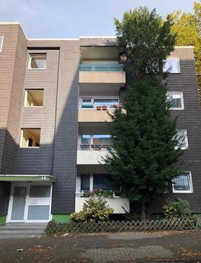 Foto - 2,5 Zimmer Wohnung zu vermieten 53qm