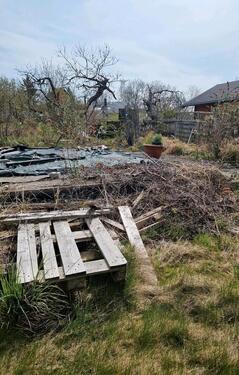 Foto - Kleingarten in 18609 BinzRügen 'KGV an der Kleinbahn e.V. '
