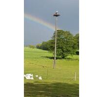 Ferienwohnung bei Schwerin, in Mirow, Natur pur m. Storchenblick - Plate