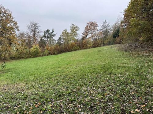 Foto - Grundst&uuml;ck zur Miete in Pettstadt