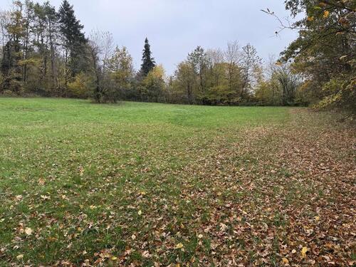 Foto - Grundst&uuml;ck in Pettstadt