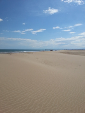 Foto - 