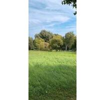 Baugrundstücke in 18299 Klein Lantow bei Laage