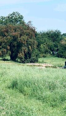Foto - Grundst&uuml;ck zur Miete in Laage