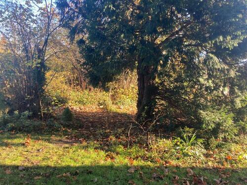Foto - Erdgeschoßwohnung in Paderborn zur Miete