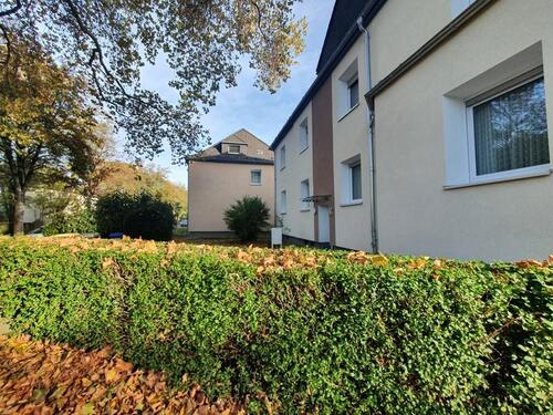 Foto - 2 Zimmer Erdgeschoßwohnung zur Miete in Essen