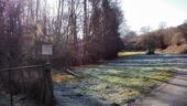 Foto - Wiese Bach Bäume Teichanlage möglich, Ortsnähe Braunfels Bonbaden