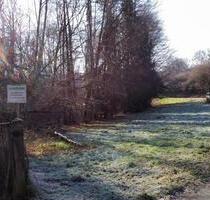 Wiese Bach Bäume Teichanlage möglich, Ortsnähe Braunfels Bonbaden