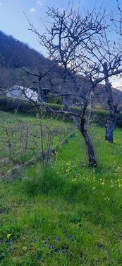 Foto - Grundst&uuml;ck in Meiningen