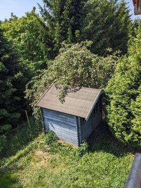Foto - 4 Zimmer Etagenwohnung zur Miete in Kirchheimbolanden