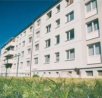 Kleine Innenstadtwohnung - 355,00&nbsp;EUR Kaltmiete, ca.&nbsp; 45,84&nbsp;m&sup2; in Prenzlau (PLZ: 17291)