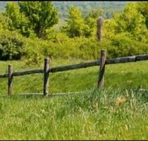 Wiesengrundstück - 160,00&nbsp;EUR Kaltmiete, ca.&nbsp; 0,00&nbsp;m&sup2; in Nister (PLZ: 57645)