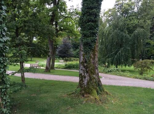 Foto - 