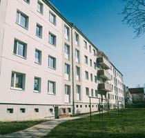 Zwischen Zentrum und See. - 385,00&nbsp;EUR Kaltmiete, ca.&nbsp; 48,10&nbsp;m&sup2; in Prenzlau (PLZ: 17291)