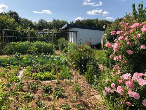 Foto - Kleingarten, Schrebergarten WieckLadebow, Greifswald am Wasser