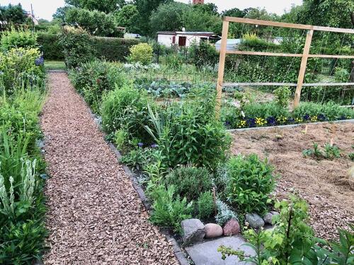 Foto - Grundst&uuml;ck in Greifswald