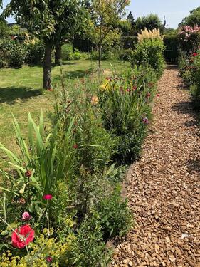 Foto - Grundst&uuml;ck in Greifswald zur Miete