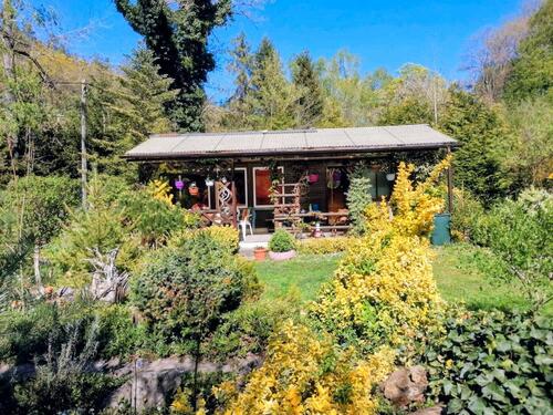 Foto - Bungalow in Pachtgarten,Bad Salzungen