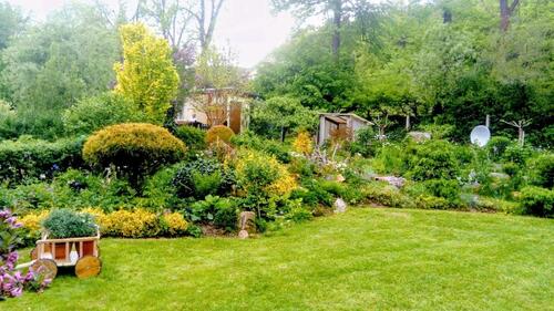 Foto - Grundst&uuml;ck zur Miete in Bad Salzungen