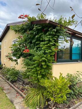 Foto - Wunderschöner Garten in Bentwisch kgv carbäktal