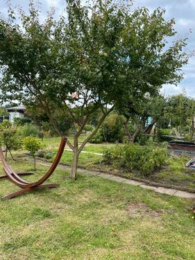 Foto - Grundst&uuml;ck in Rostock