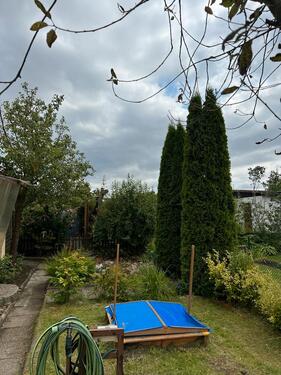 Foto - Grundst&uuml;ck in Rostock zur Miete