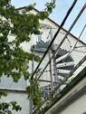 Foto - Wohnung ca. 50 m2 - 530,00&nbsp;EUR Kaltmiete, ca.&nbsp; 50,00&nbsp;m&sup2;