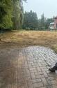 Foto - Wiese zu verpachten für Schafe, Pferde etc