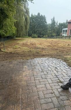Foto - Wiese zu verpachten für Schafe, Pferde etc