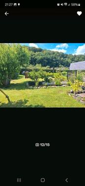 Foto - Kleingarten KGV Waldfrieden e.V.