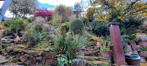 Foto - 6 Zimmer Mehrfamilienhaus, Wohnhaus in Grasellenbach