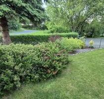 Bereit für Morgen ! ? - 465.000,00&nbsp;EUR Kaufpreis, ca.&nbsp; 100,00&nbsp;m&sup2; in Grimma (PLZ: 04668)