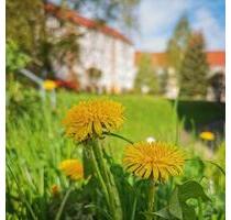 Endlich zusammenziehen? - 302,00 EUR Kaltmiete, in Freiberg (PLZ: 09599)