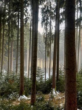 Foto - Wohnung für Naturliebhaber! - 1.000,00&nbsp;EUR Kaltmiete, ca.&nbsp; 95,00&nbsp;m&sup2;