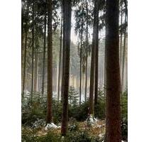 Wohnung für Naturliebhaber! - 1.000,00&nbsp;EUR Kaltmiete, ca.&nbsp; 95,00&nbsp;m&sup2; in Langquaid (PLZ: 84085)