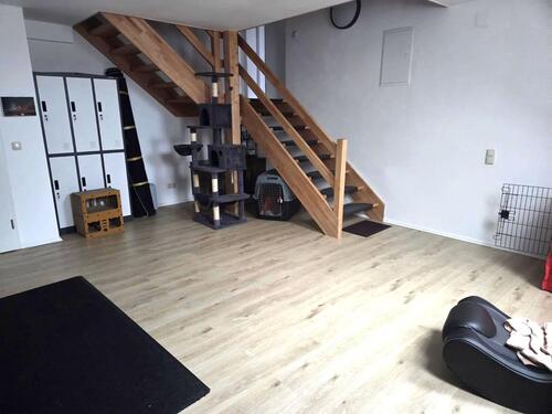 Foto - 4 Zimmer Dachgeschoßwohnung zur Miete in Fritzlar