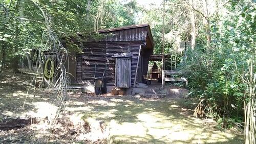 Foto - Pachtgarten (1040 m²) zu übergeben mit Gartenlaube und viel Natur