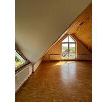 Wohung, 1-Zimmer-Appartement mit neuer Küche und Ste - Linsengericht