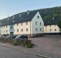 Haus zu verkaufen - 1.695.000,00&nbsp;EUR Kaufpreis, ca.&nbsp; 960,00&nbsp;m&sup2; in Calw (PLZ: 75365)