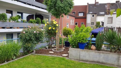 Foto - 