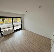 2 Zimmer Wohnung (Balkon, TG), hell, großzügig, Toplage - Lauf an der Pegnitz