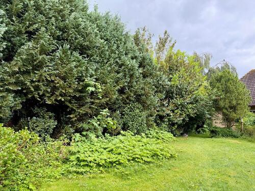 Foto - Einfamilienhaus in Wangerland zum Kaufen