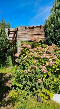 Foto - Garten Pachtgrundstück KEIN Schrebergarten KEIN Verein