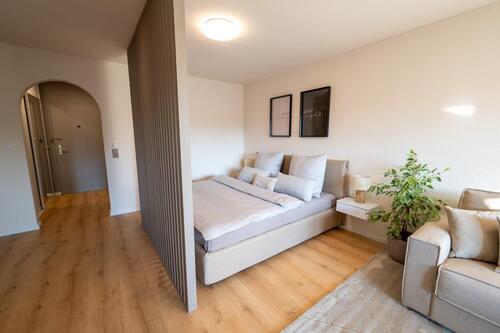 Foto - 1 Zimmer andere in Rheinfelden (Baden)