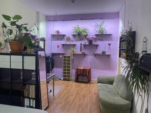 Foto - 2 Zimmer Erdgeschoßwohnung zur Miete in Berlin