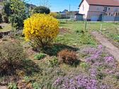 Foto - Einfamilienhaus in Losheim am See zum Kaufen